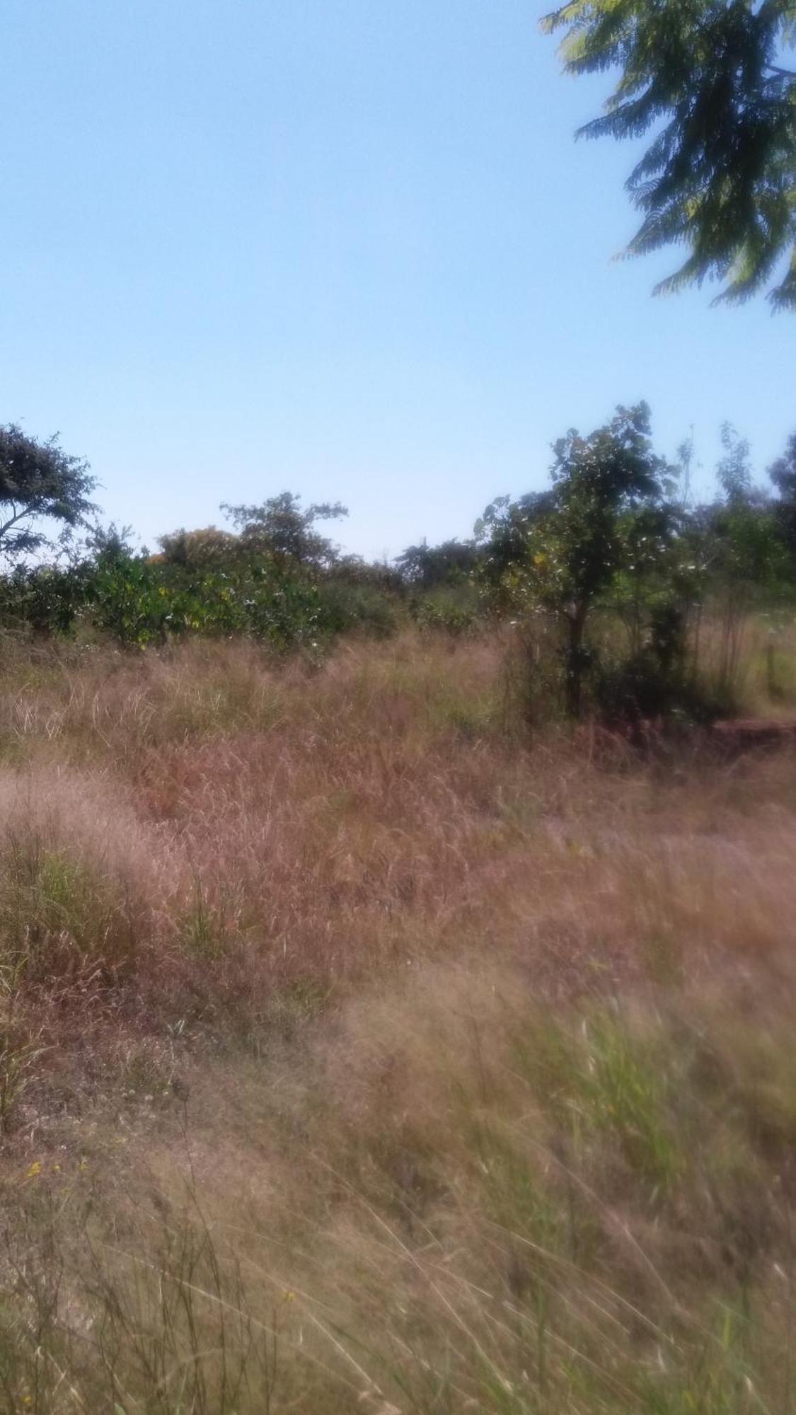 Tshulu Tsha Nabe B&B Bulawayo Exteriér fotografie